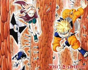 Chapter 151