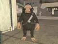 Borgan