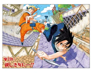 Chapter 226