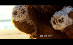 Wild-things-bob&terry