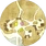 Oakvale Map