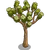 Joshua Tree-icon