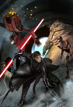 Die Schatten der Sith