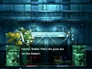 SolidSnakeBowser
