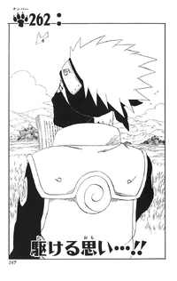 Chapter 262