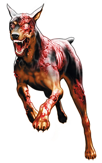 http://images4.wikia.nocookie.net/__cb20100704215258/residentevil/images/thumb/3/39/REDS_Cerberus.png/200px-REDS_Cerberus.png