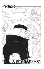 Chapter 263