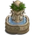 Ornate Fountain-icon