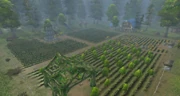 Dalson Farm Cataclysm