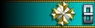 Sleeve insignia.