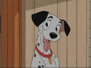 101dalmatians 142