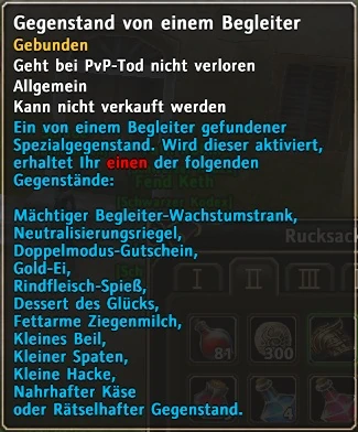 Begleiter Gegenstand