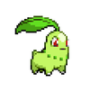 Chikoritabig
