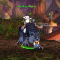 Image of Sentinel Shyela