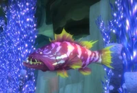 Luxscale Grouper