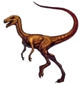 Compsognathus.jpg