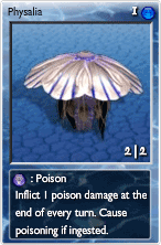 Physalia