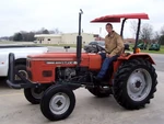 Zebra 3520-1995