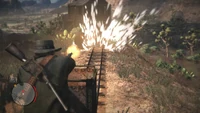 Rdr gaptooth