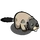 Marmot