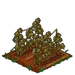 Chardonnay withered