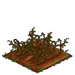 Chickpea withered