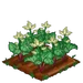 Rhubarb 100