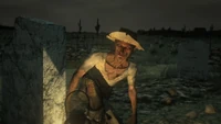 Rdr seth grave