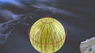 Watermelon-1-