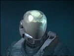Spartan ranks 150px-EVA_Helmet_Reach