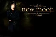 Volturi alec2