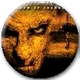 STMP SHOC Button