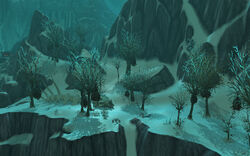 Coldwind Heights