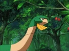 P06 Tropius