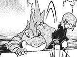 PMS149 Feraligatr de Silver