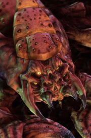 Drone SC2 Head1