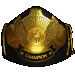 Standard 75x75 collect belt6 01.gif