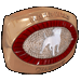 Standard 75x75 collect ring7 01.gif
