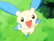 P07 Minun