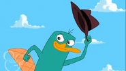 PerryTippingHat
