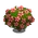 N. Tisbury Azalea-icon