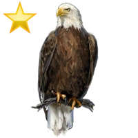 Huge item baldeaglegold 02.png