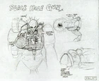 Black hole gun