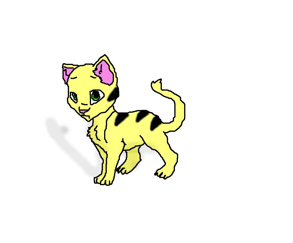 crookedstar warriors