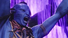 Avatar br 2207 20100627 1637860171