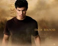 Taylor02