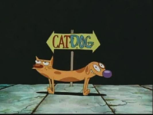 Catdog Images