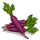 Heirloom Carrot-icon