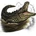 Nile Crocodile