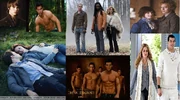Twilight Collage
